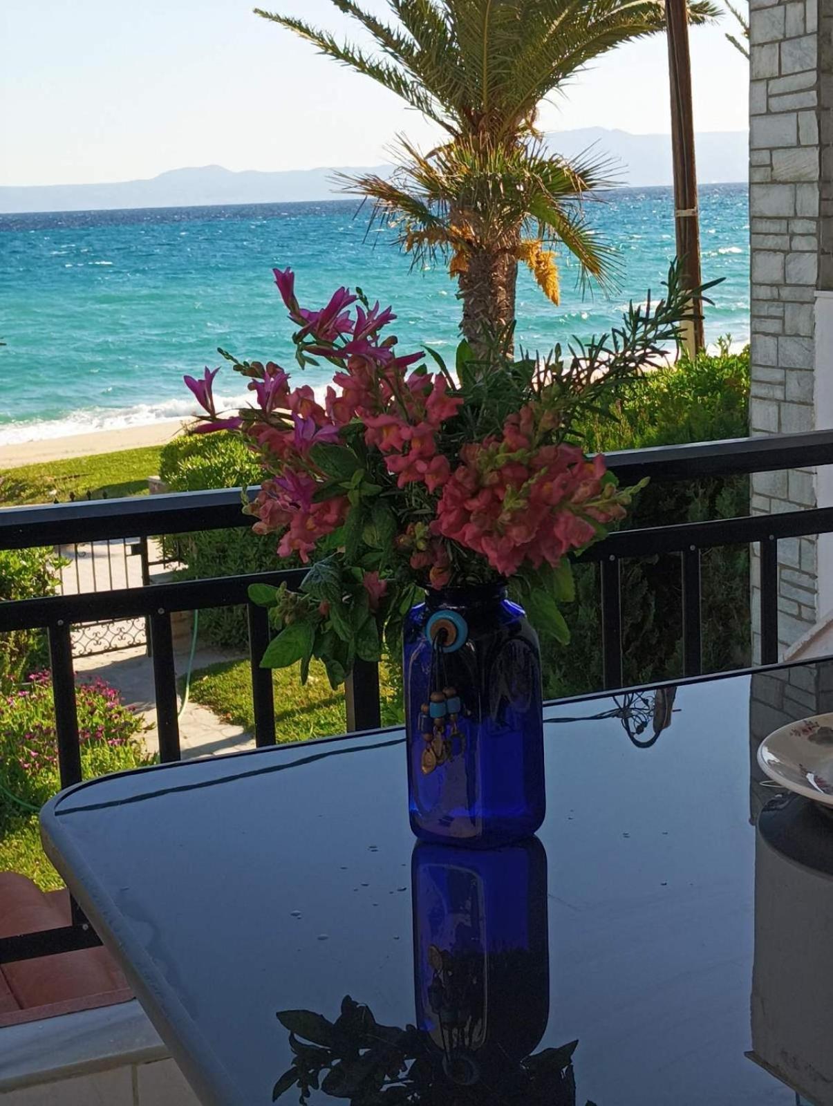 Cozy maisonette in Pefkochori Chalkidiki Buitenkant foto