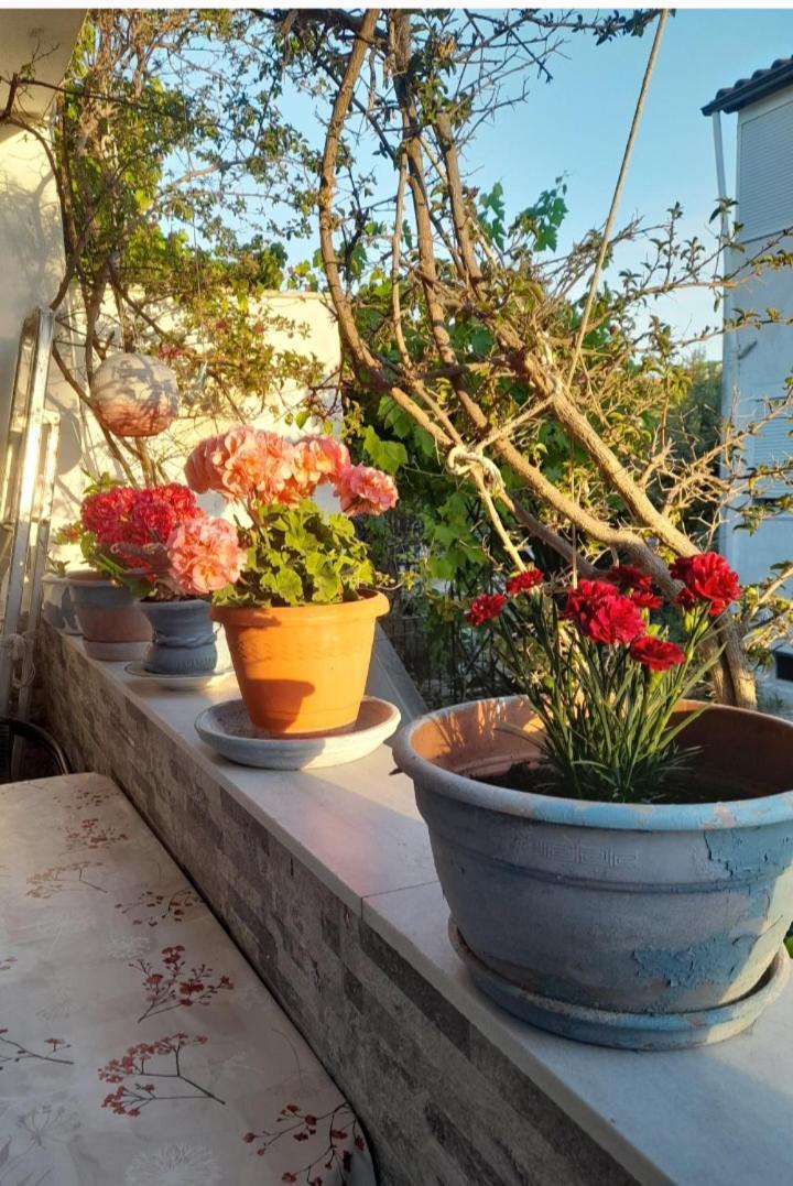 Cozy maisonette in Pefkochori Chalkidiki Buitenkant foto